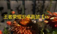 王者荣耀安卓直装【xscript高刷解密S39版】